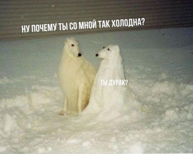 Дичка на выходные