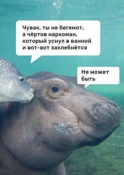 Дичка на выходные