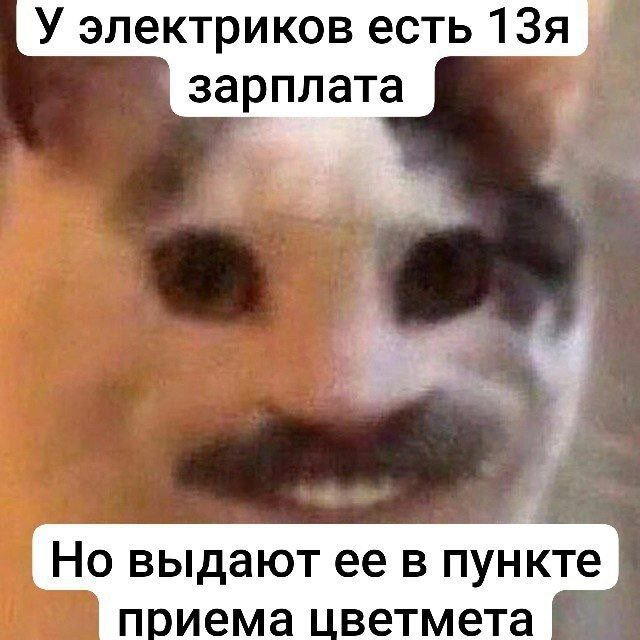 Дичка на выходные