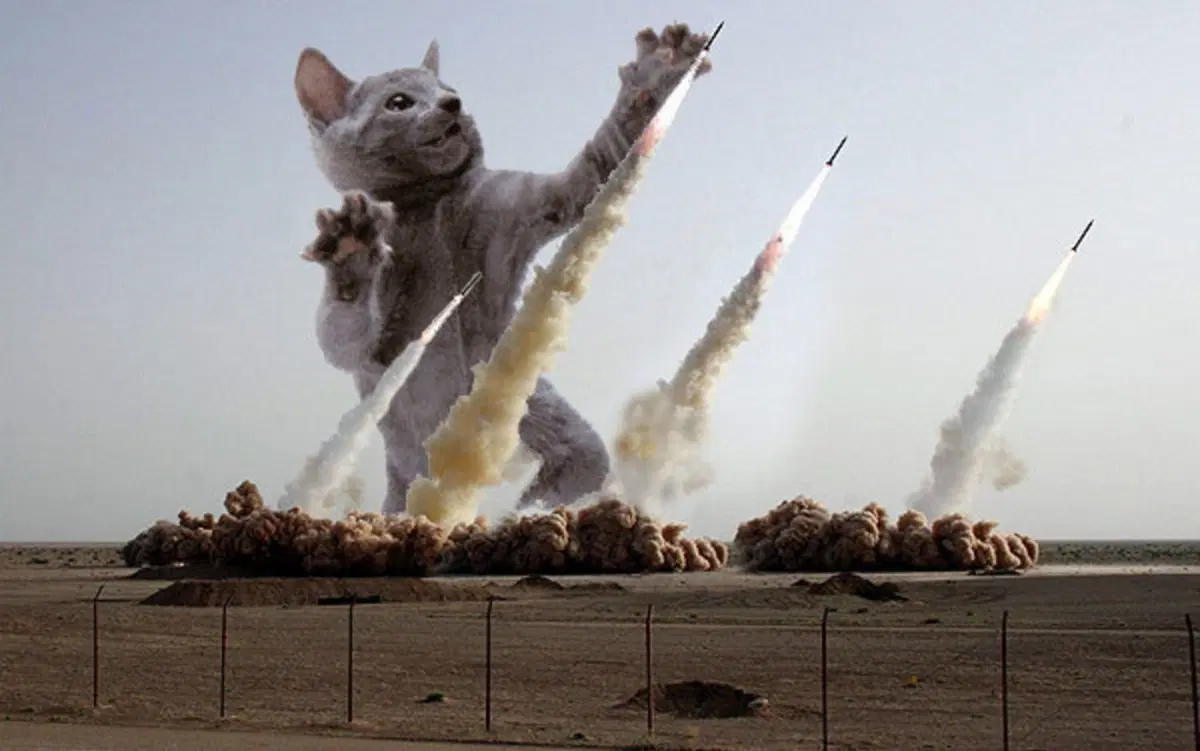 Субботний вомбат?