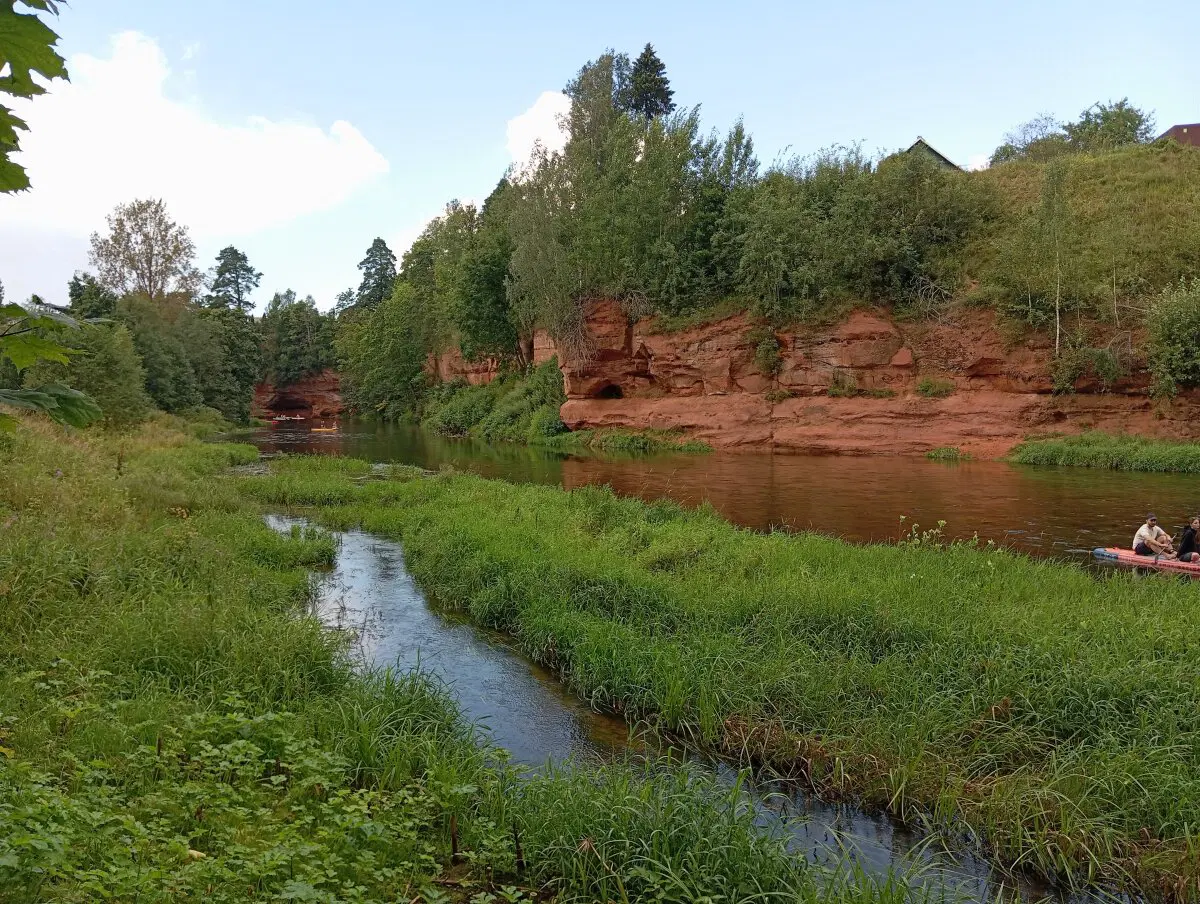 Летняя прогулка в окрестностях реки Оредеж