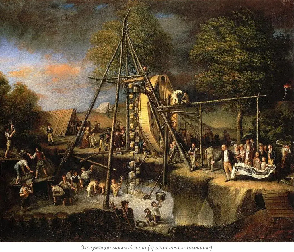 Ивент Вомбата. Слово недели - Шампунь