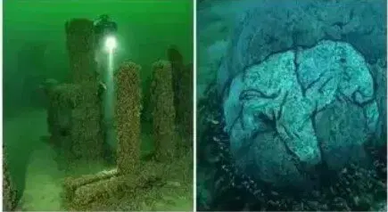 Ивент Вомбата. Слово недели - Шампунь