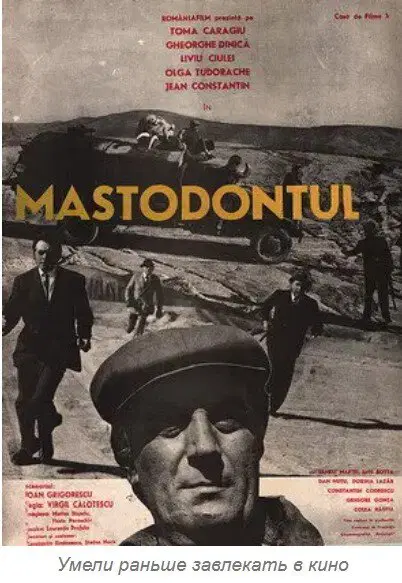 Ивент Вомбата. Слово недели - Шампунь