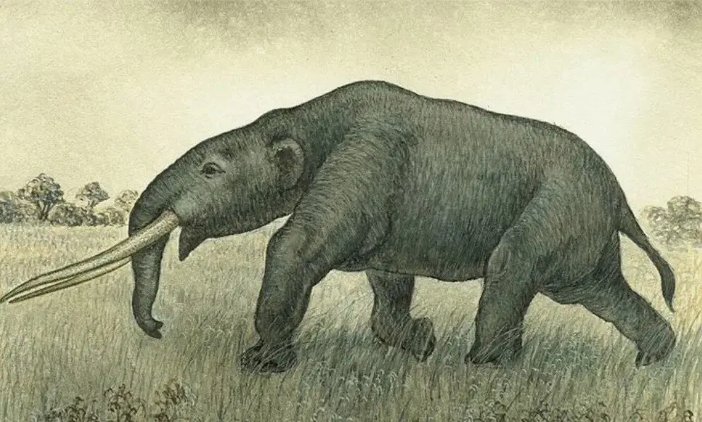 Ивент Вомбата. Слово недели - Шампунь