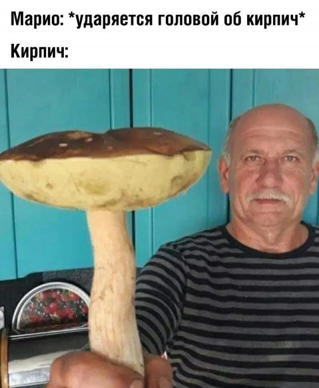 Дичька на новую неделю. Заряд дичи )))