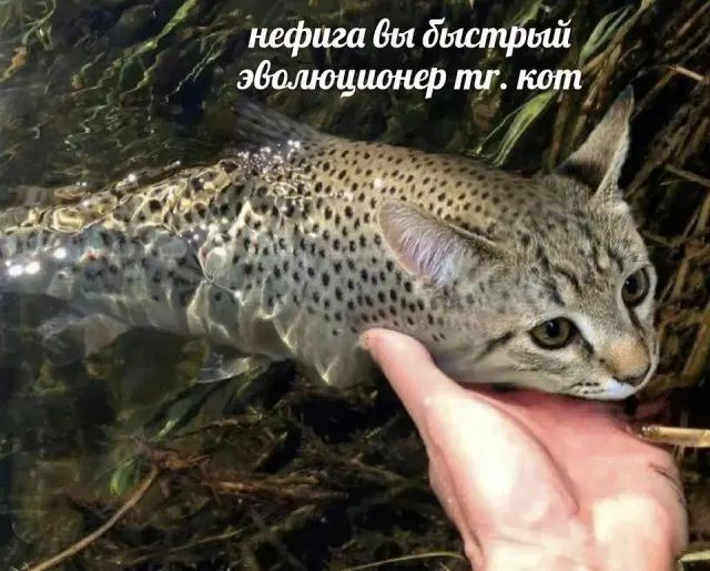 Дичька на новую неделю. Заряд дичи )))