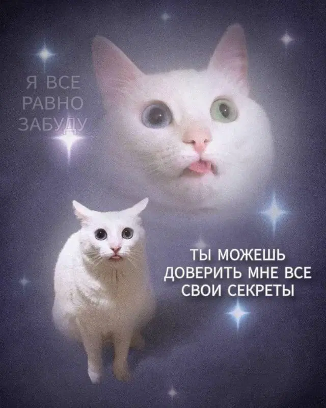 Дичька на новую неделю. Заряд дичи )))