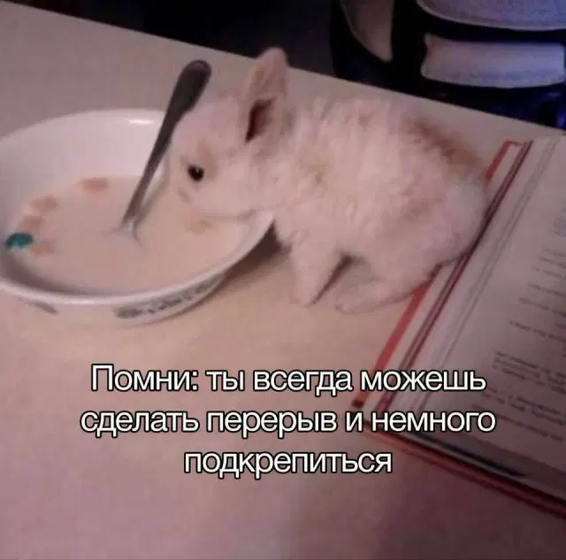 Дичька на новую неделю. Заряд дичи )))