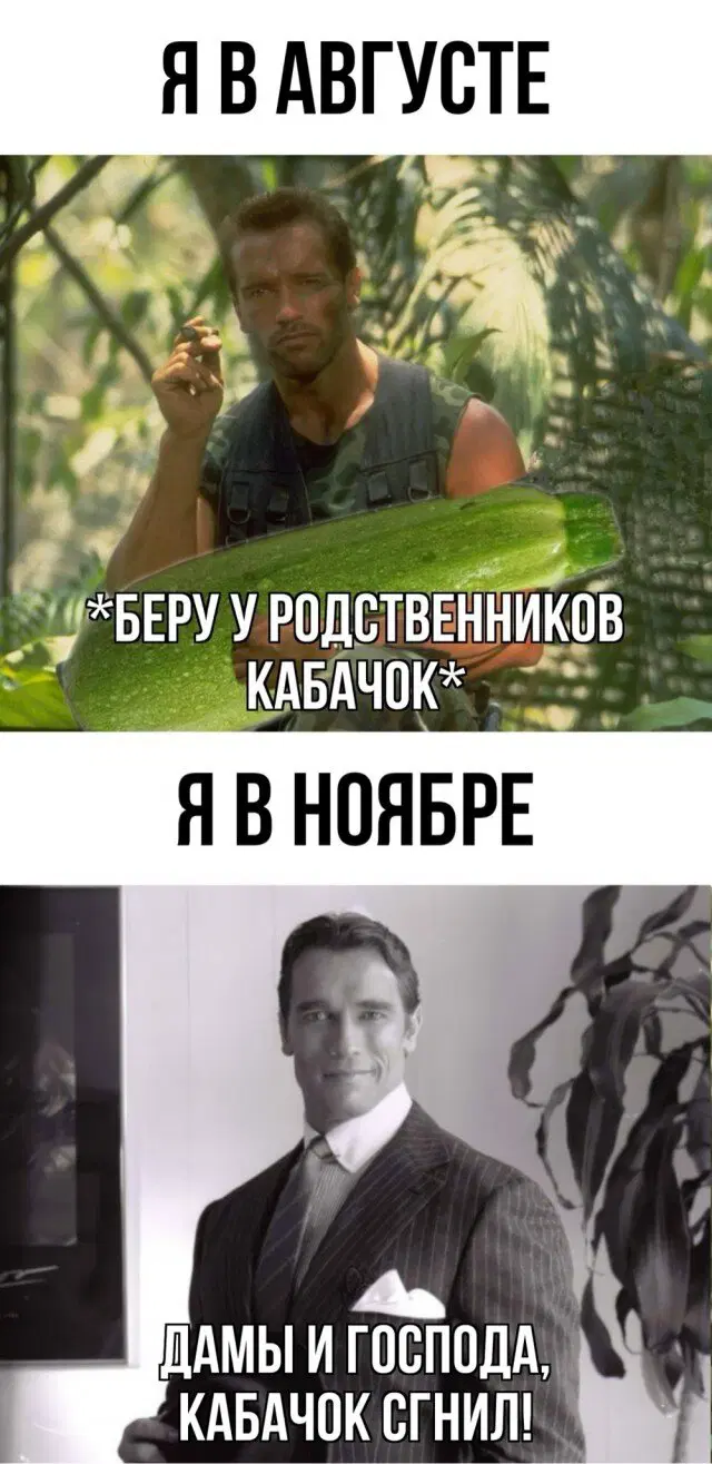 Дичька на новую неделю. Заряд дичи )))