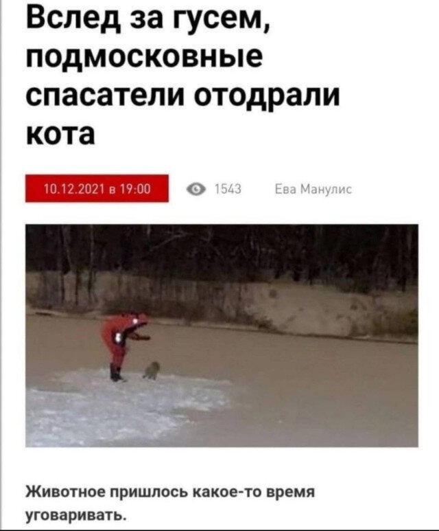Дичька на новую неделю. Заряд дичи )))