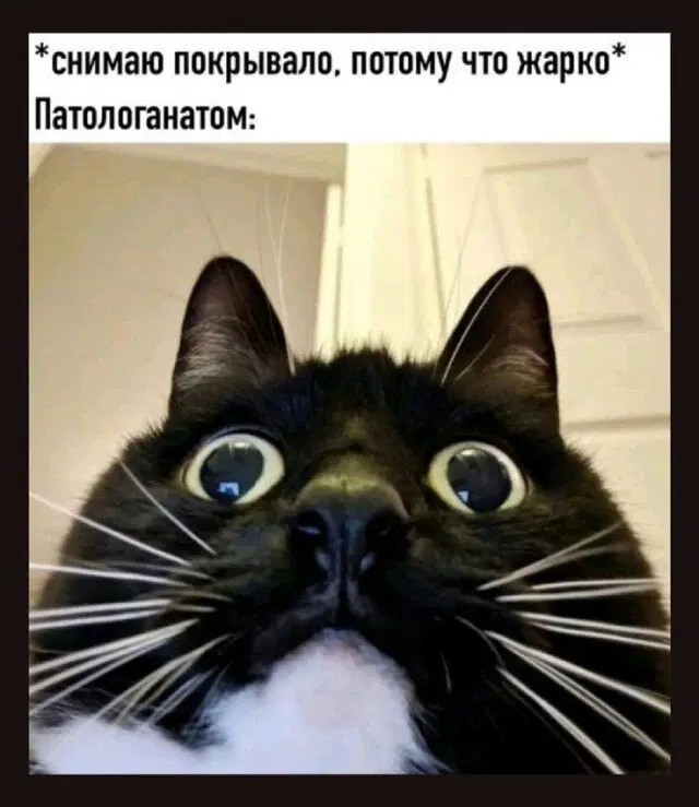 Дичька на новую неделю. Заряд дичи )))