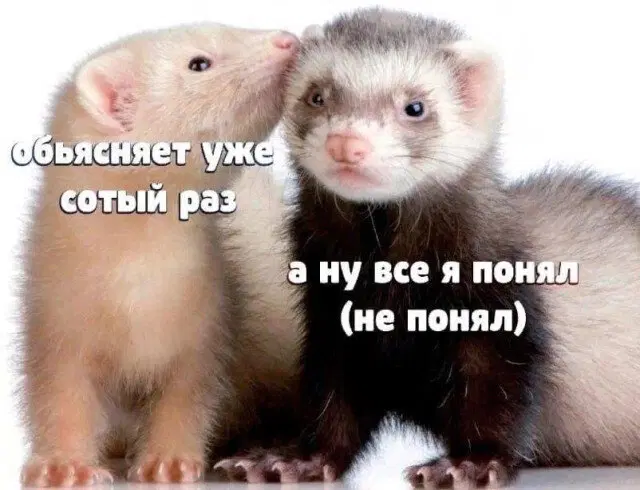 Дичька на новую неделю. Заряд дичи )))