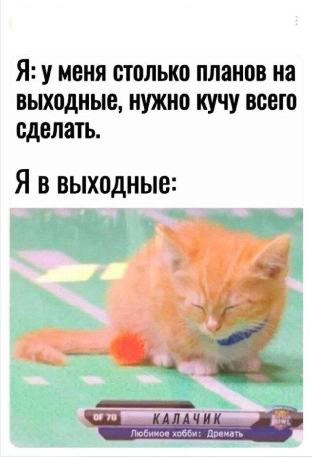 Дичька на новую неделю. Заряд дичи )))