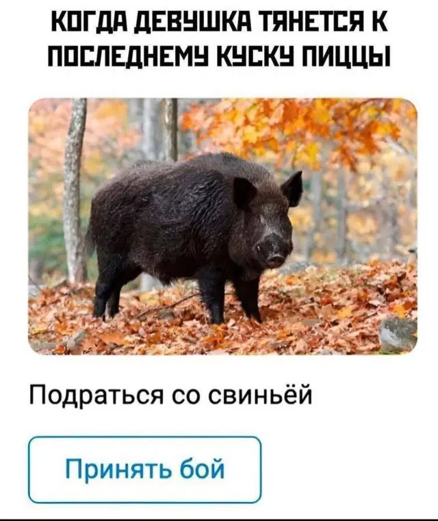 Дичька на новую неделю. Заряд дичи )))