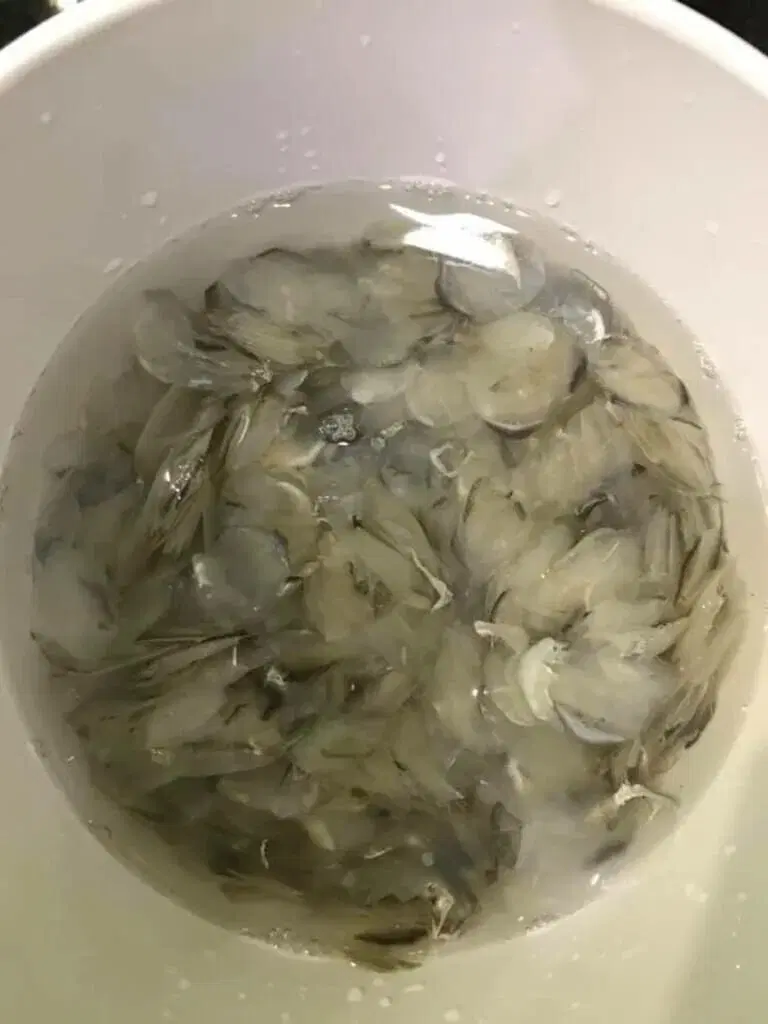 Хариус хуярикус