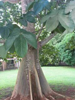 Хватит химии, даешь ивент. Шампунь