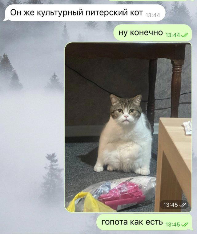 Среда, и пахнет спелой дочкой.