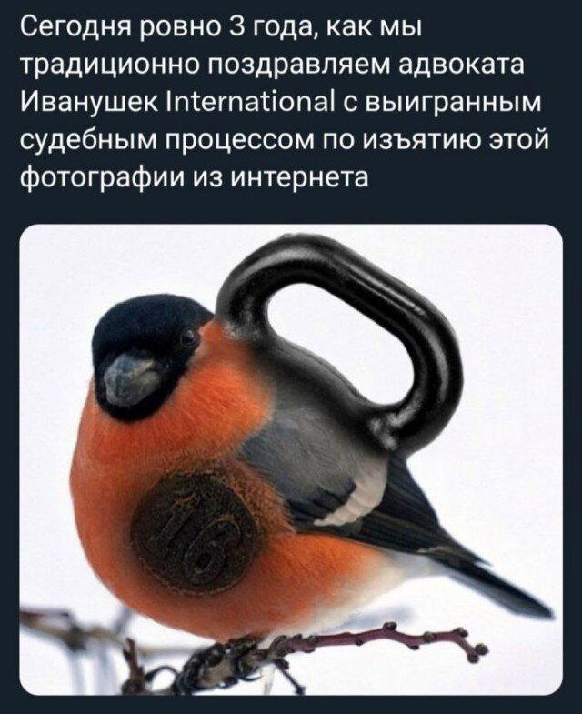 Среда, и пахнет спелой дочкой.