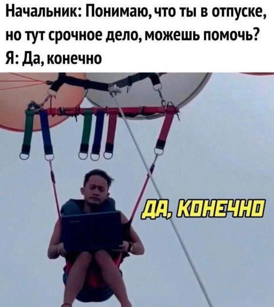 Среда, и пахнет спелой дочкой.