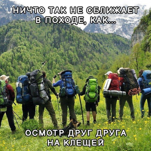 Среда, и пахнет спелой дочкой.