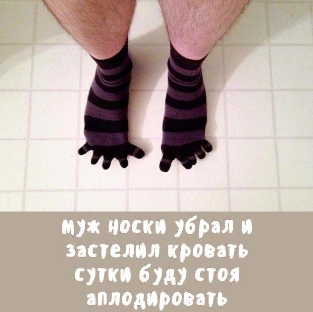 Среда, и пахнет спелой дочкой.