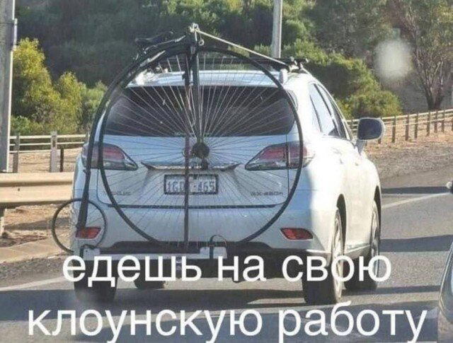 Среда, и пахнет спелой дочкой.