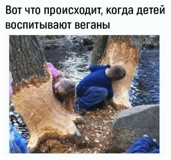 Среда, и пахнет спелой дочкой.