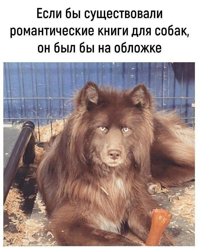 Среда, и пахнет спелой дочкой.