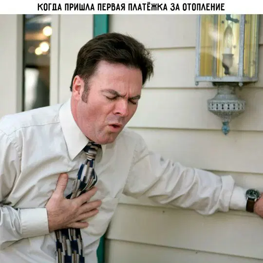 Дичку надо поливать