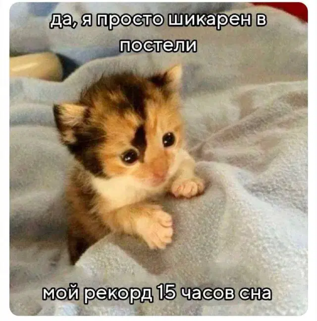 Дичку надо поливать