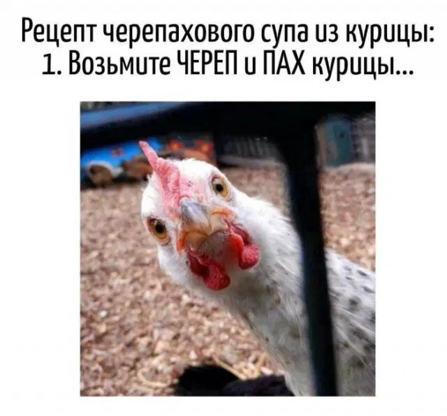 Дичку надо поливать