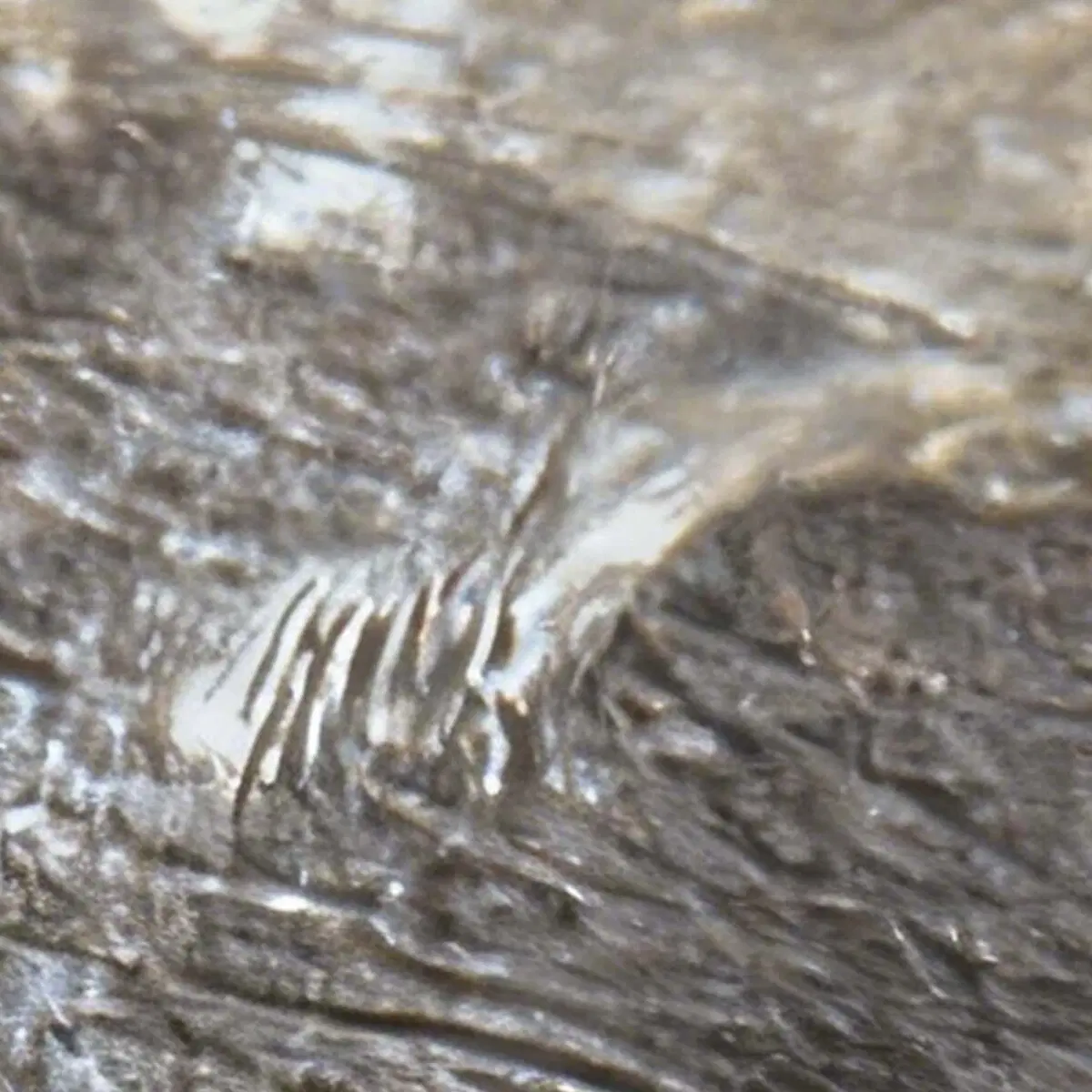 Весьма примечательная деталь / © NASA/JPL/TheSpaceway