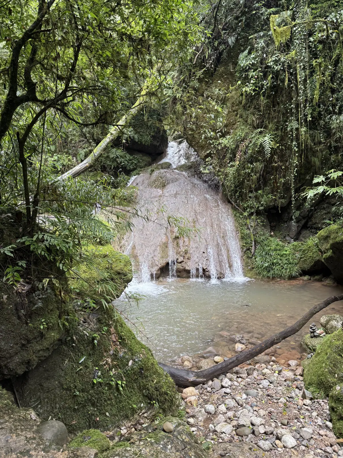 Китай. Снова Ченду. 2025 год.