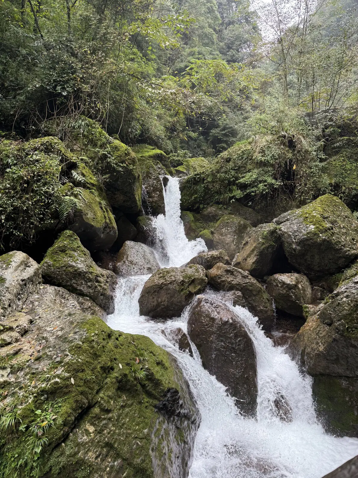 Китай. Снова Ченду. 2025 год.