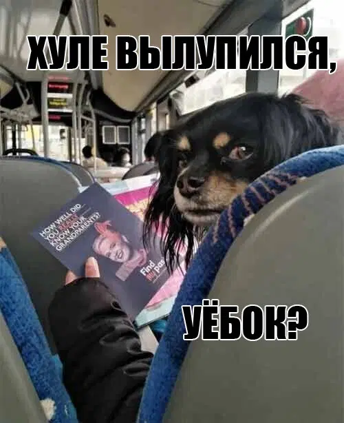 Дичка знает про пятницу...