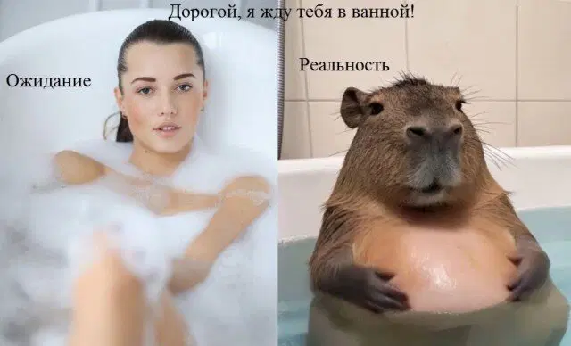 Дичка знает про пятницу...