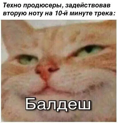 Дичка субботы шалом сестричка