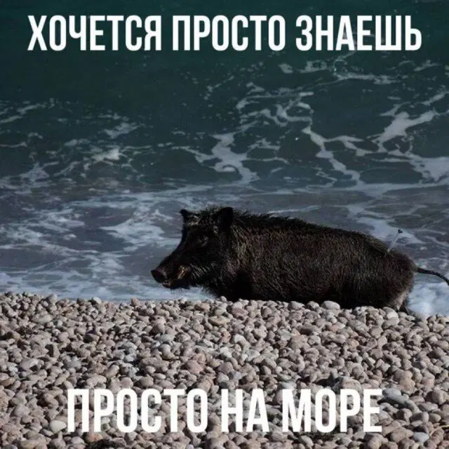 Дичка для окончания недели