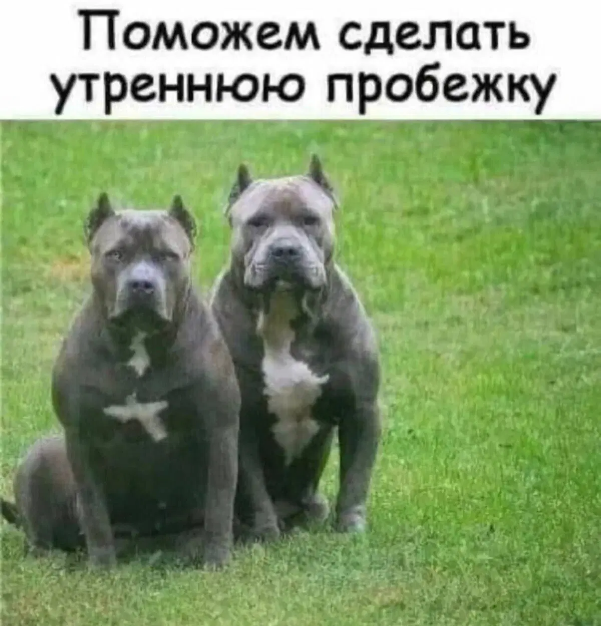 Дичка для окончания недели