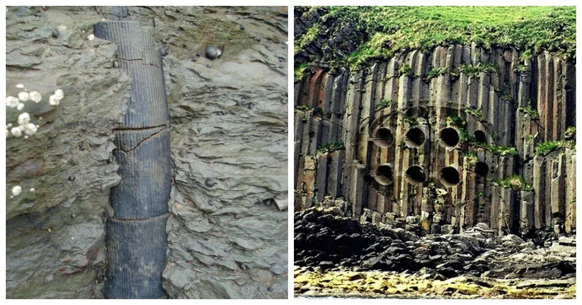 Тайна труб Байгонга