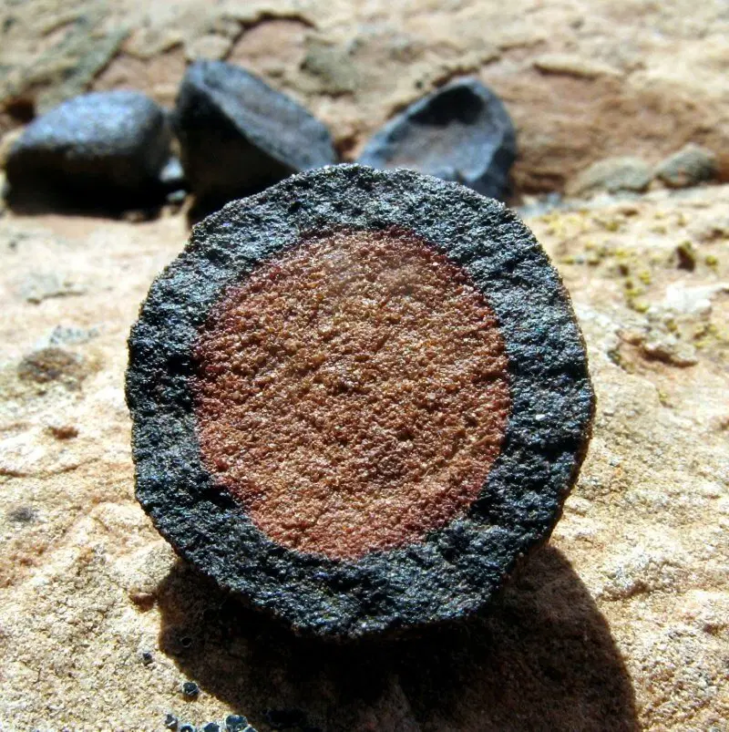 Тайна труб Байгонга