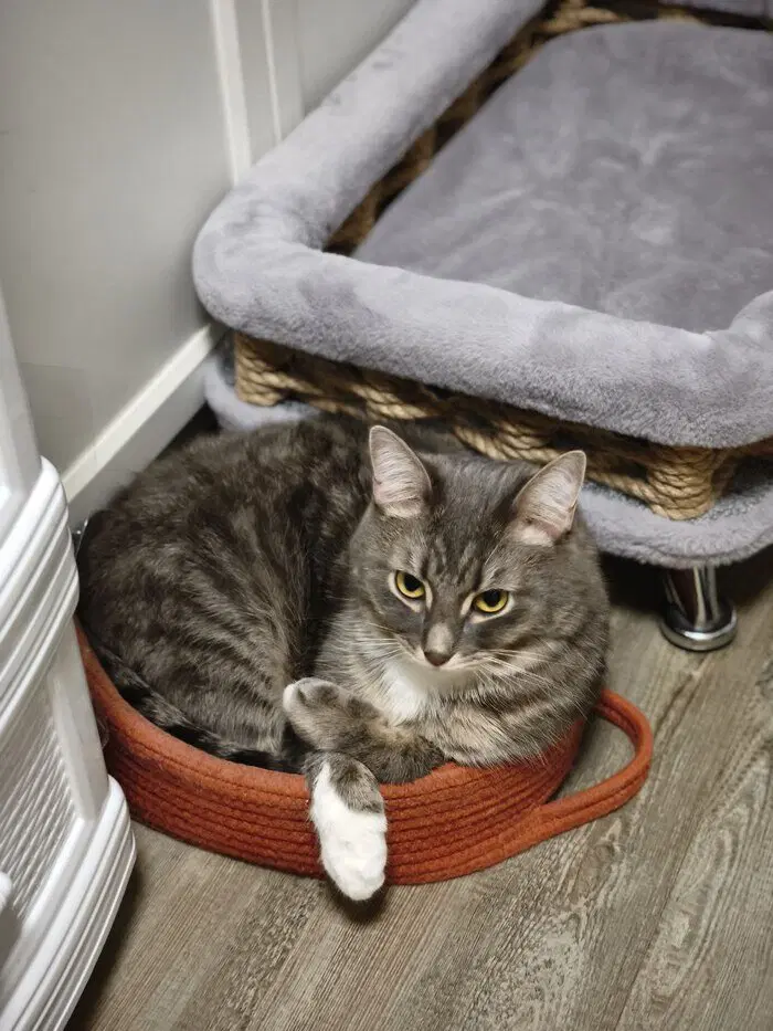 Утро начинается не с кофе