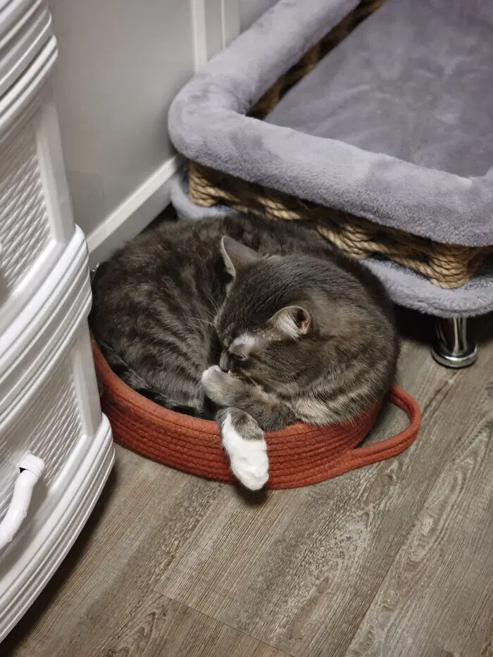 Утро начинается не с кофе