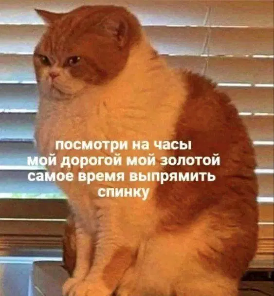 К Вторнику дичка кислее