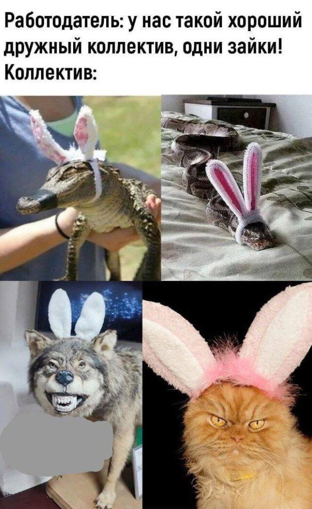 К Вторнику дичка кислее