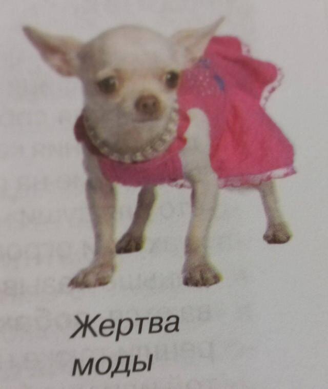 К Вторнику дичка кислее