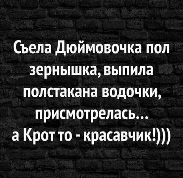 Среда а дичка где?
