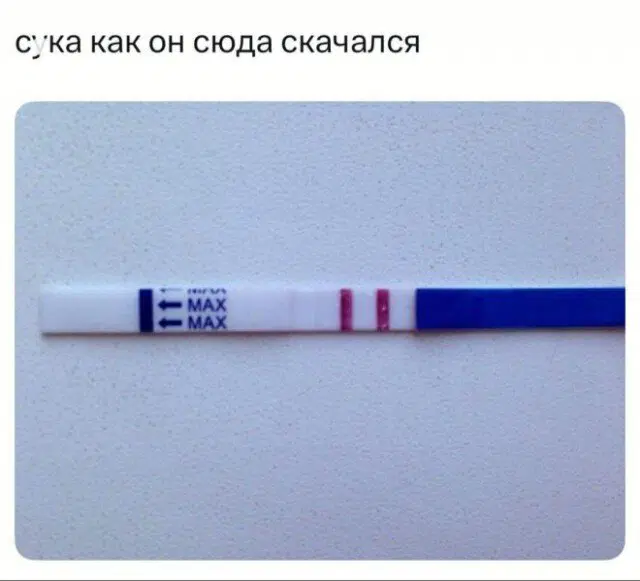 Среда а дичка где?