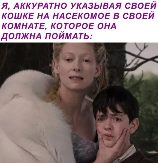 Среда а дичка где?